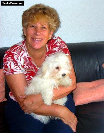 Foto del perro Braulio