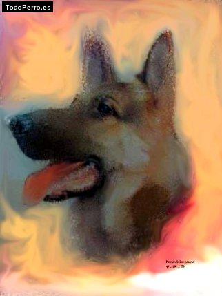 Foto del perro Negra