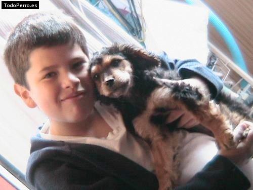 Foto del perro Tocky
