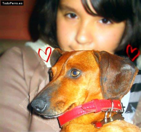 Foto del perro Totto