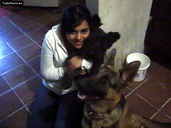 La foto del perro Coby y buba Foto del perro Coby y buba