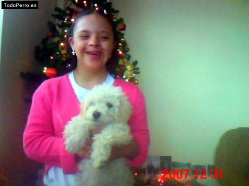 Foto del perro Bimbo