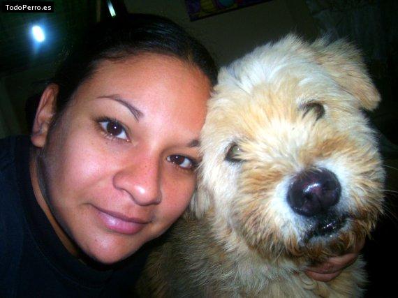 Foto del perro Muñeca
