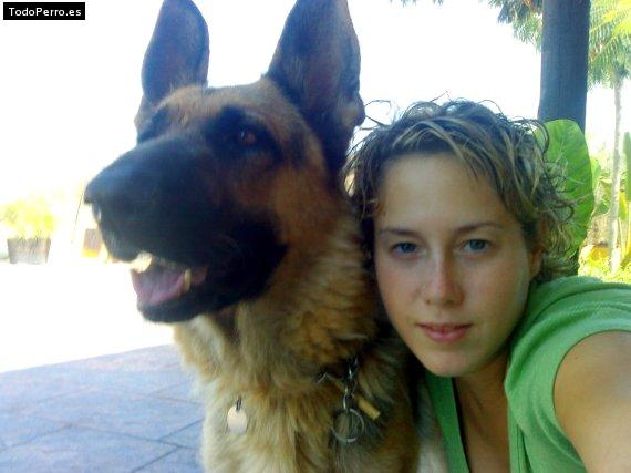 Foto del perro Noah