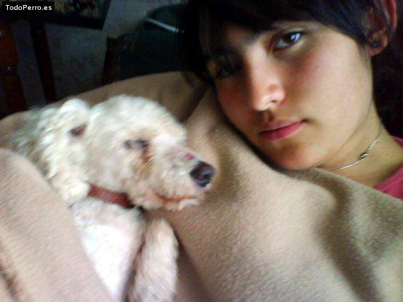 Foto del perro Muñeca
