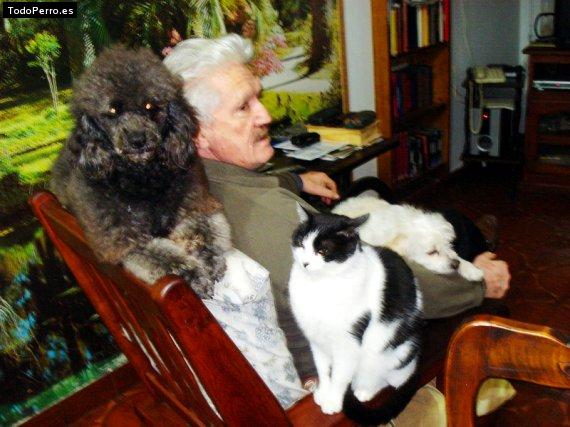 Foto del perro Coco, luz  y chachi