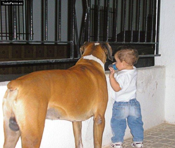 Foto del perro Chycho