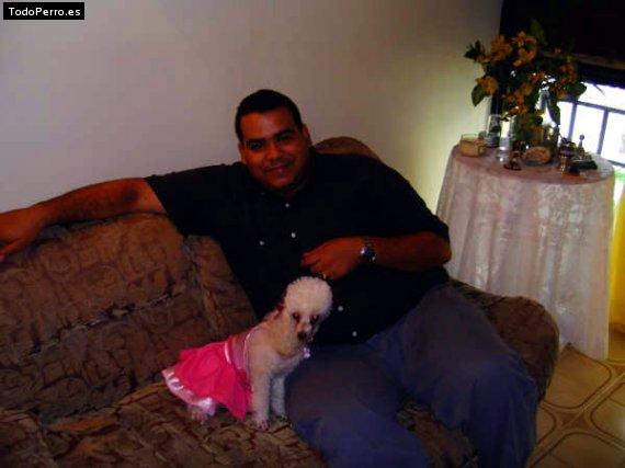 Foto del perro Candy