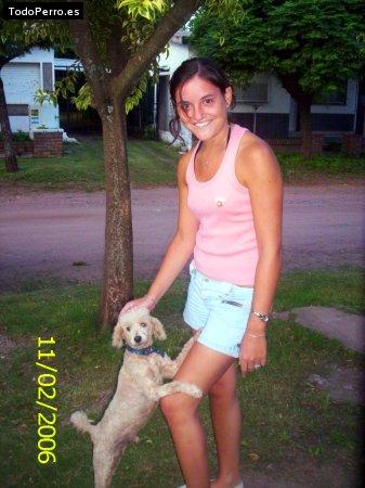 Foto del perro Tommy
