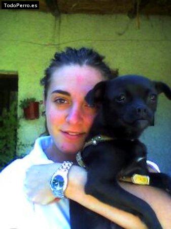 Foto del perro Teja