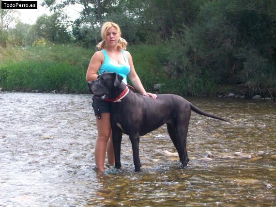 Foto del perro Tania