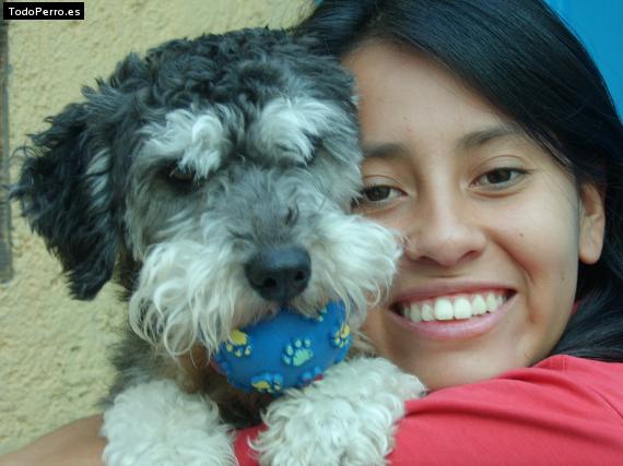 Foto del perro Totti