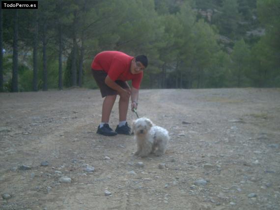 Foto del perro Tilin