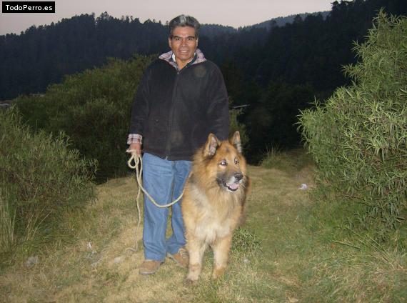 Foto del perro Tomy