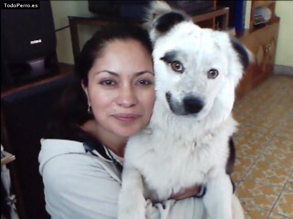 Foto del perro Travi