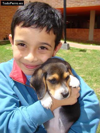 Foto del perro Pako