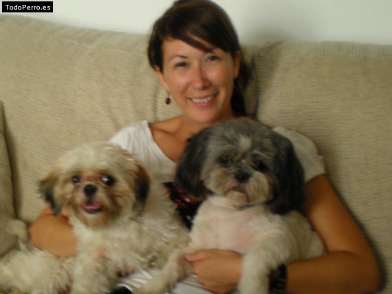 Foto del perro Cuki y budy