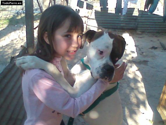 Foto del perro Charly