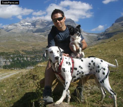 Foto del perro Valentina