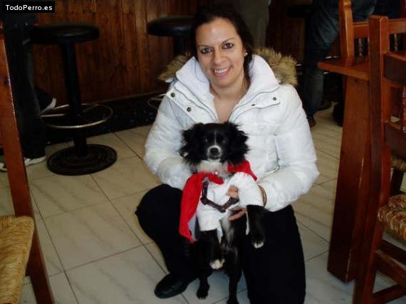 Foto del perro Tobi