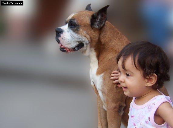 Foto del perro Caligula