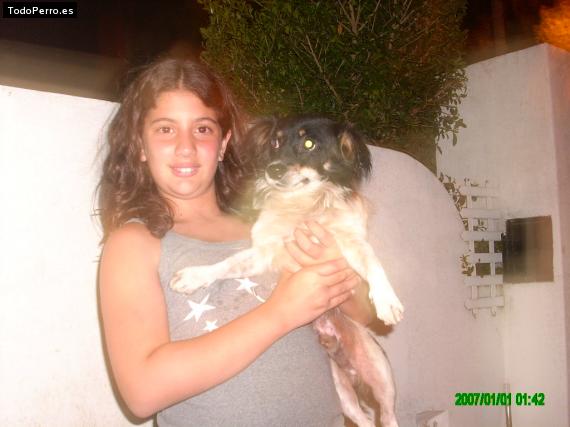 Foto del perro Teo