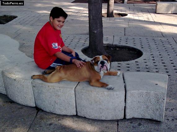 Foto del perro Lucas