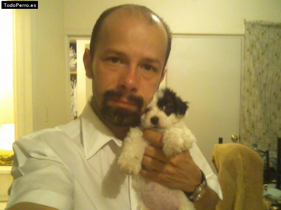 La foto del perro Ramon Foto del perro Ramon