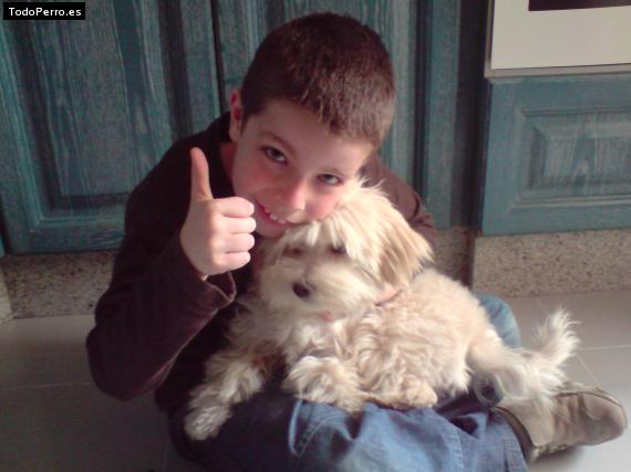 Foto del perro Cliford