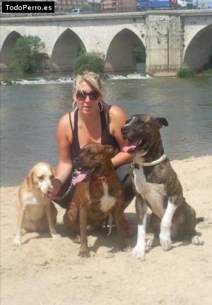 Foto del perro Chulo, chulito y nala