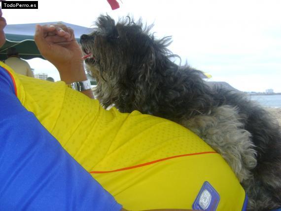 Foto del perro Chiquita