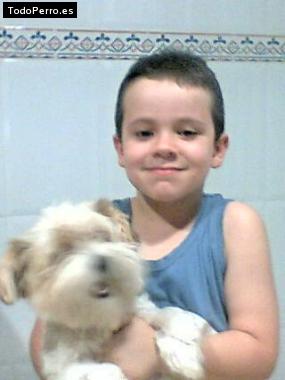 Foto del perro Chispa