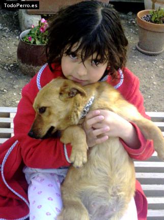 Foto del perro Chispa