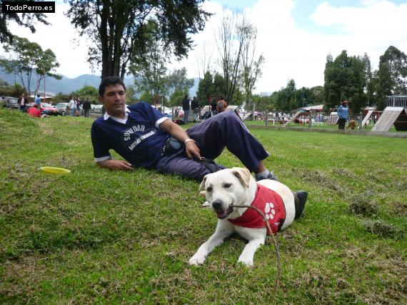 Foto del perro Sarita