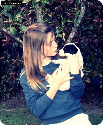 Foto del perro Reina