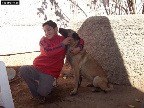 Foto del perro Loba