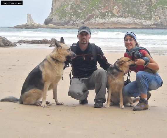 Foto del perro Gordi y peke