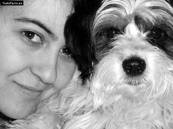 Foto del perro Blas