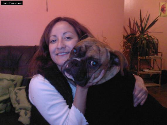 La foto del perro