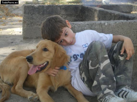 Foto del perro Nacho