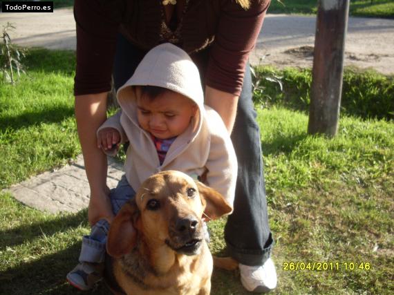 Foto del perro Fifi candela