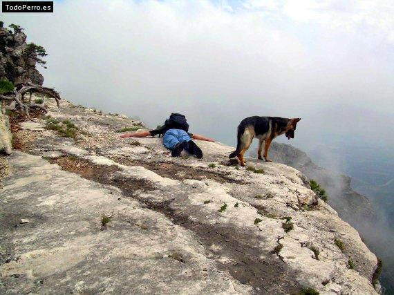 Foto del perro Lluna