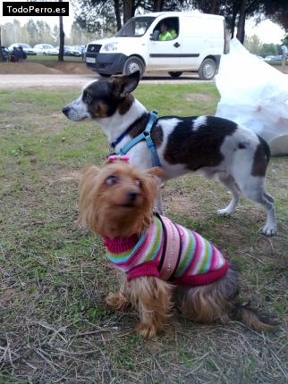 Foto del perro Yaky y nina