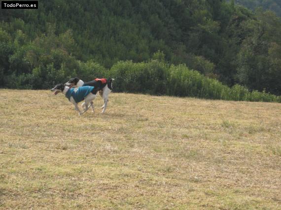 Foto del perro Roco y catalina