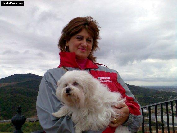 Foto del perro Bob