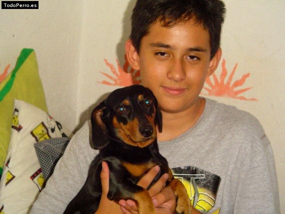 Foto del perro Winnie