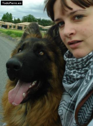 La foto del perro