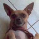 Brandon