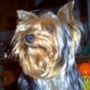 Miky
