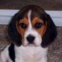 Maddy